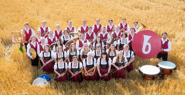 Die Musiker des Musikvereins Obermeitingen e.V.